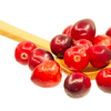 Cranberry extract - Cystolax Composition